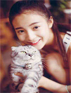 蝴蝶2004
